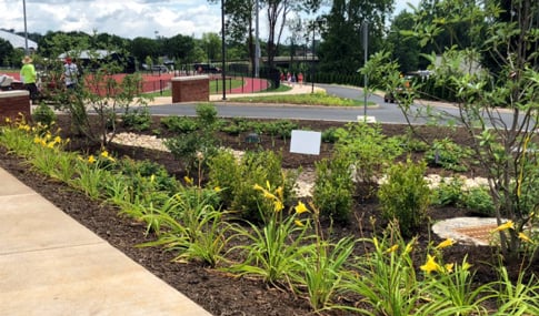 An innovative stormwater management approach in the Davenport Field parking lot that includes high-flow media filters “hidden” in the landscape.