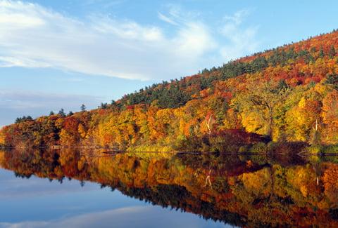 Autumn colors on trees along Connecticut River in Vermont.