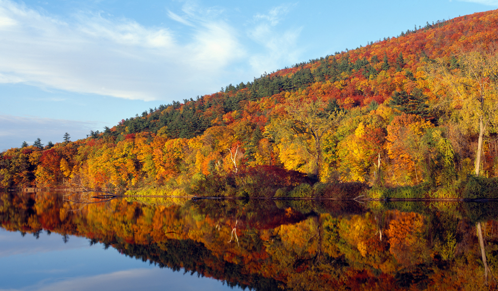 Autumn colors on trees along Connecticut River in Vermont.