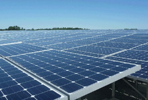 Rows of solar panels line a grassy field on a closed landfill in Canton, Massachusetts.