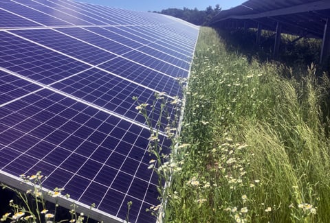 Tobacco Valley Solar