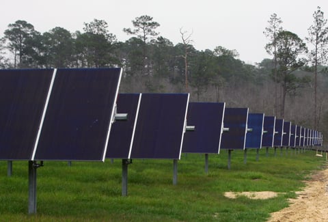 A row of solar panels in a rural field with trees in the background.