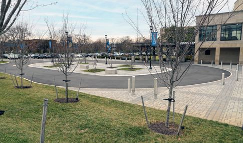 The newly redesigned vehicular drop off area at the Virginia Museum of History & Culture.  