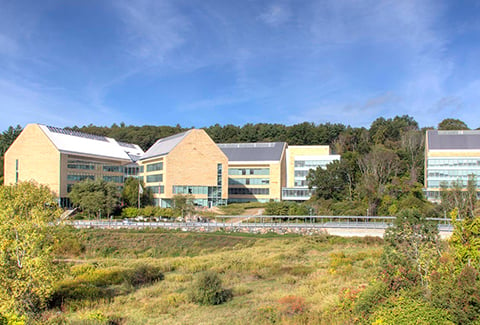 Astra-Zeneca’s multi-building campus is backed by natural woodlands.