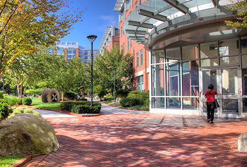 A visitor walks along a shaded path into one of the buildings in University Park.