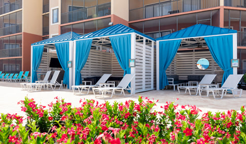 Three blue curtained cabanas, with lounging chairs, and pink flowers.