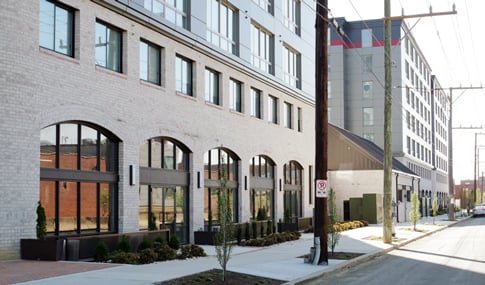 New trees and shrubs planted along the Scott’s View Apartment building, enhancing the streetscape. 