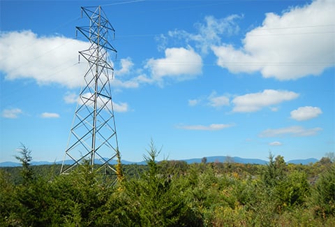 Electric power lines traverse a remote area in upstate New York.