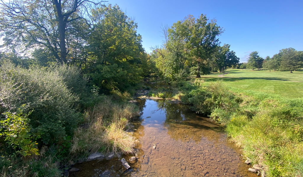 Clean water creek running along the green grass of the golf course.