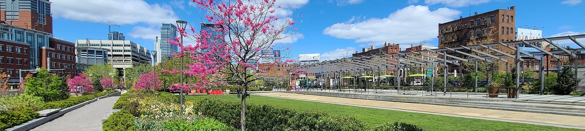 A community park with walking paths and green space.