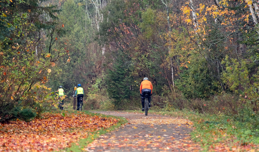 Bikers pedal down a curved gravel trail covered in fall leaves.