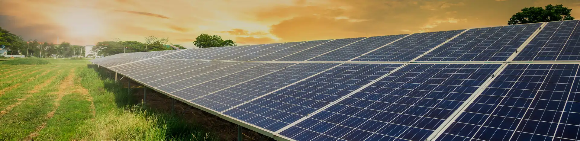 Solar Panels in a field with sun setting in the background.