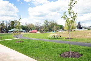 Park with walkway, new trees, and seating.