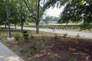 A path with trees and a person and child walking.