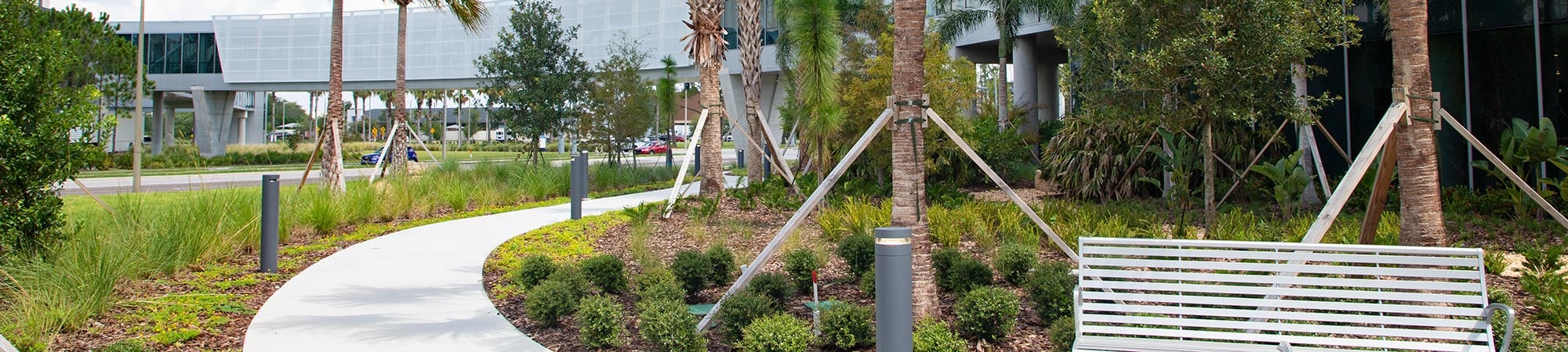 An outdoor garden with palm trees and bench at Moffitt McKinley Hospital 