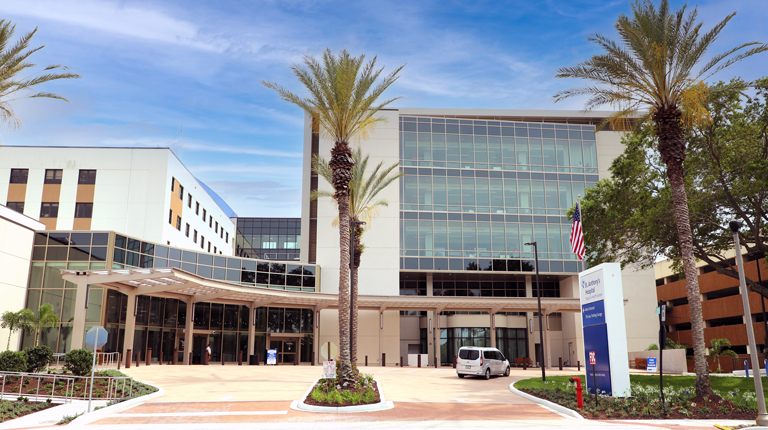 A modern hospital with palm trees lining the front entry