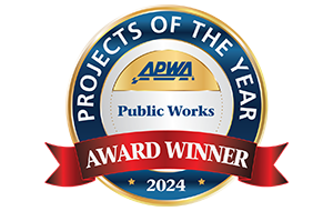 Project of the Year Logo