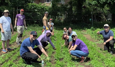 12 VHB employees gardening while on a volunteer trip at a farm in Waltham. 