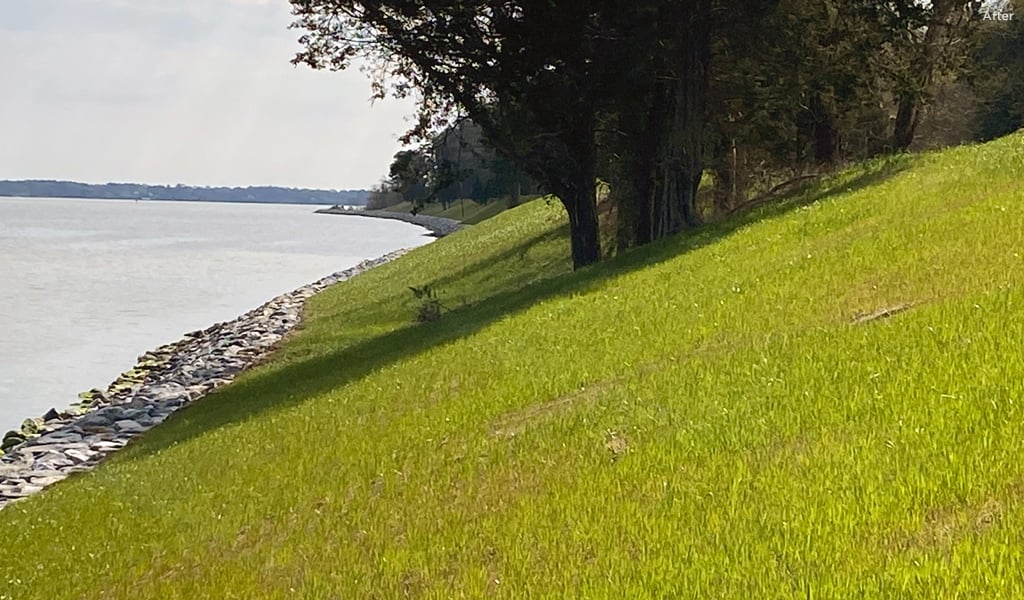 After construction with rock revetment and grass on the slope.