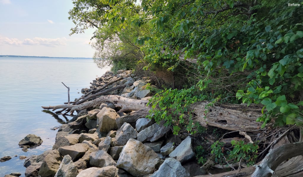 Before construction with trees and debris.