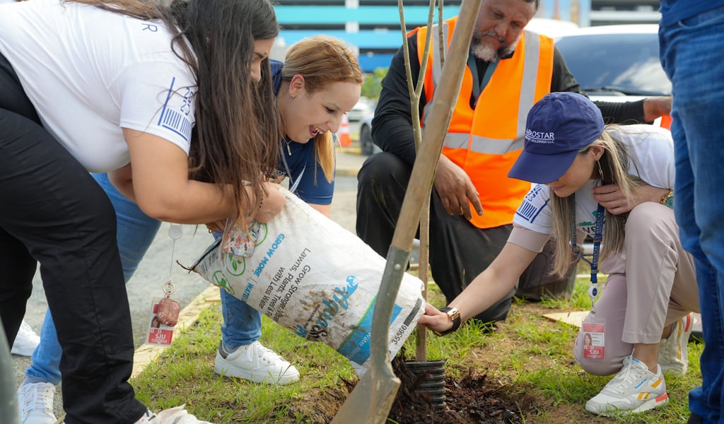 People planting a tree together