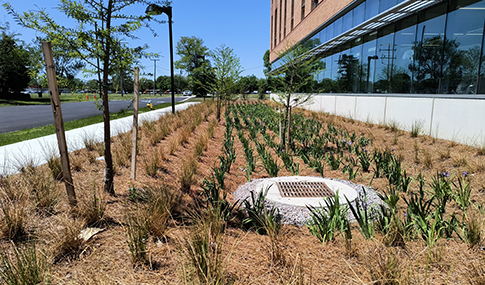 The new front entrance and stormwater management features of ODU’s Health Sciences Building